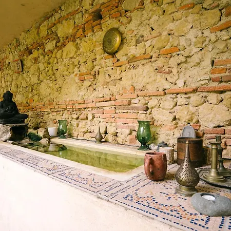 Domaine La Grande Oasis * Grazac (Tarn)