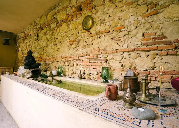 Domaine La Grande Oasis * Grazac (Tarn)